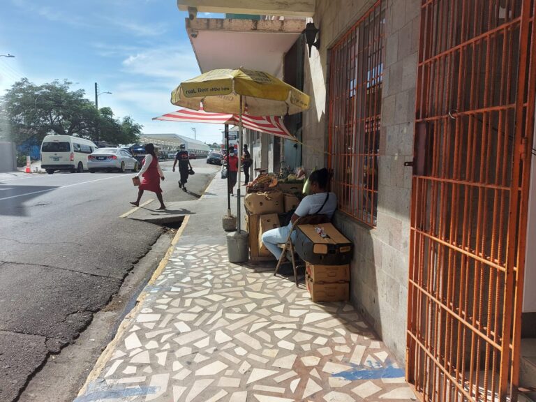Basseterre Street Vendors To Sit On Committee To Address Matters