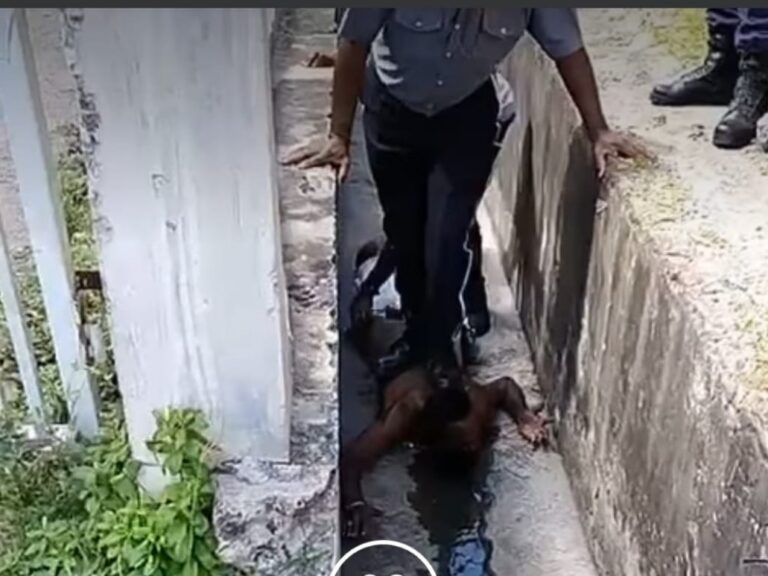 Public Cries Police Brutality Following Cell Phone Recorded Incident