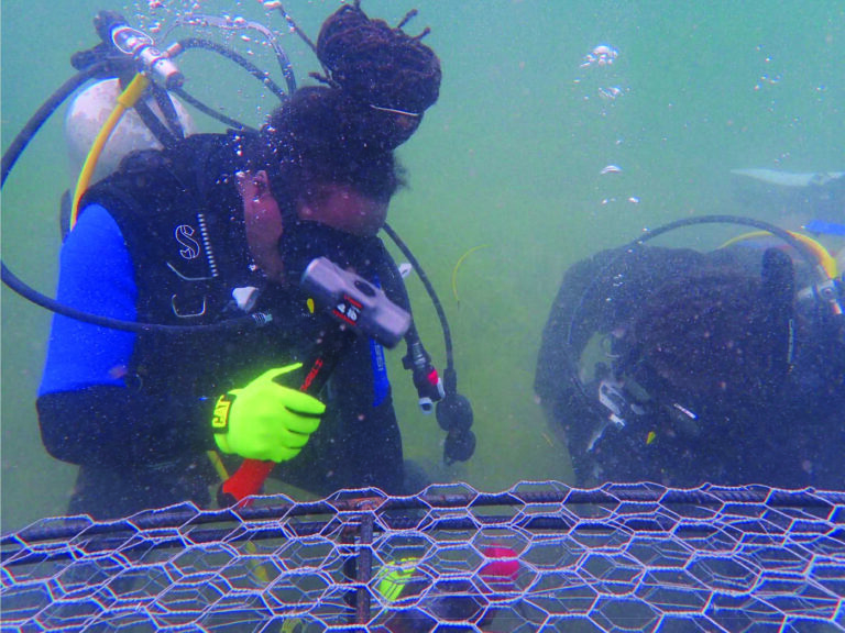 St. Kitts And Nevis Launches Groundbreaking King Crab Farming Initiative For Coral Reef Restoration And Sustainable Livehoods