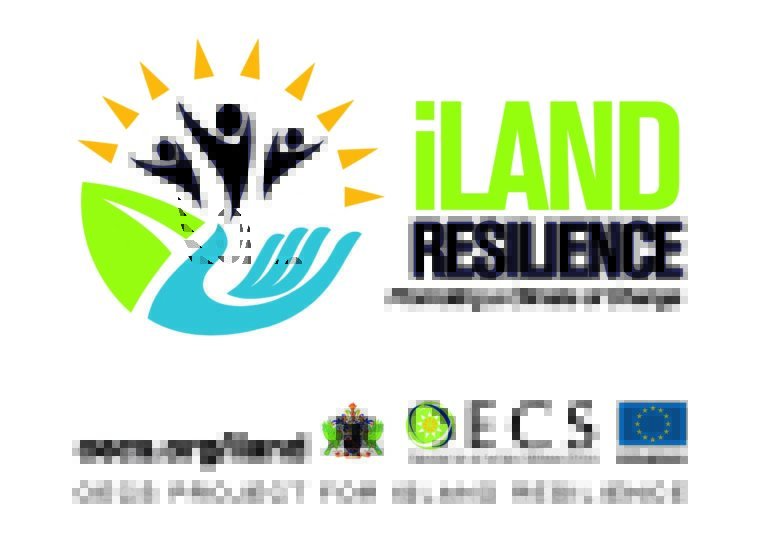 Local contractors endorse Revised OECS Building Code project