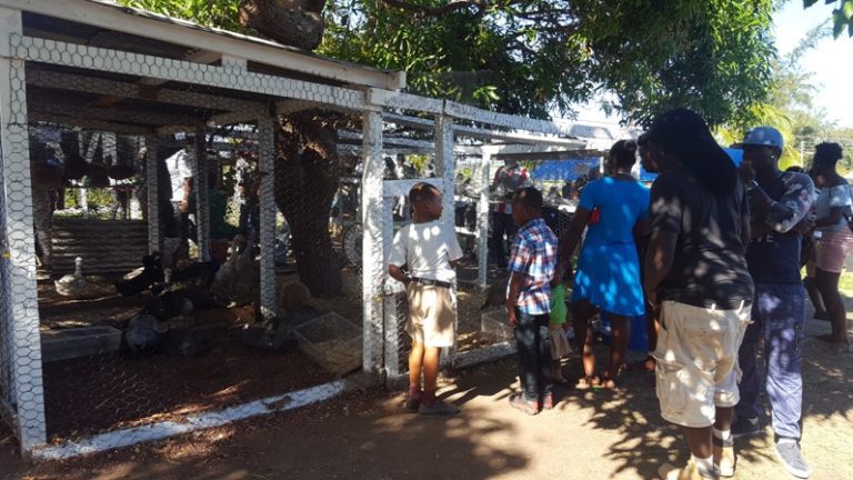 Former Agriculture Official Recaps Open Day Growth