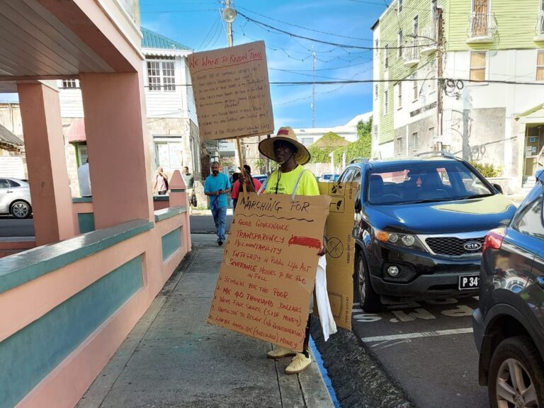 Big Lice Protests Against Government With Over 100-Word Placards