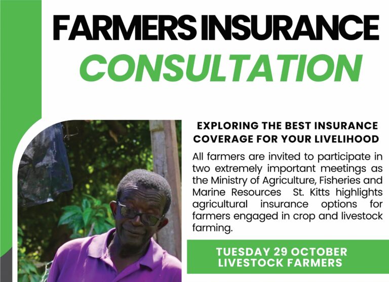Ministry Of Agriculture To Host Informative Consultations On Insurance For Farmers This Month