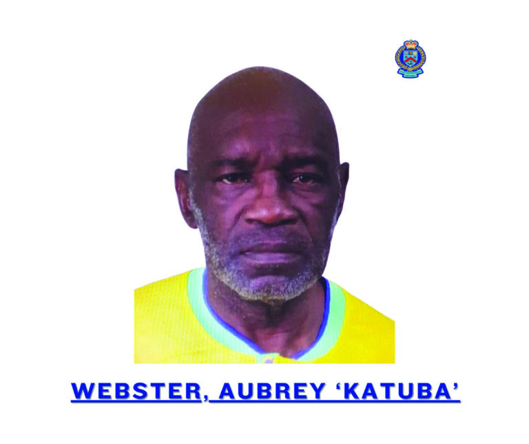 Brooklyn Man Charged in Fatal Stabbing of 60-Year-Old Woman in New Road