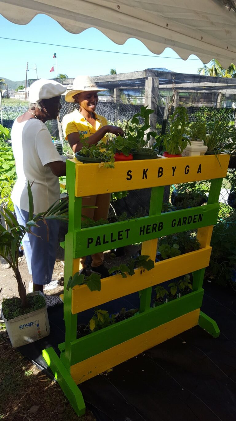 Minister Jeffers: ‘We Need Agriculture Now More Than Ever