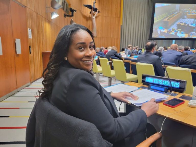 Honourable Speaker Attends UN Parliamentary Hearing at the United Nations on Water