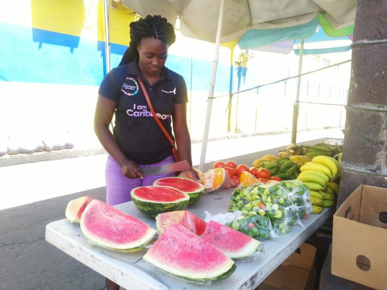 Healthier Food Package Options A Topic In Social Services Outreach