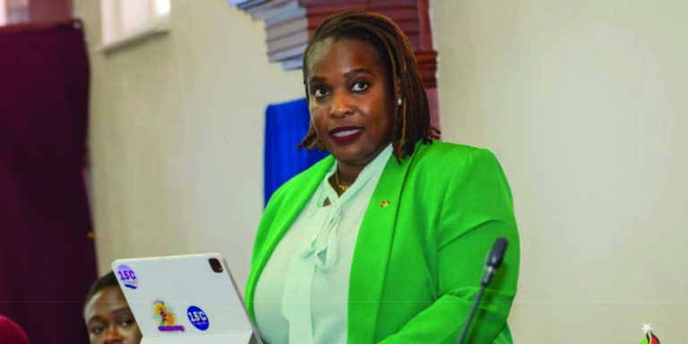 Minister Calls on Everyone To Protect Environment