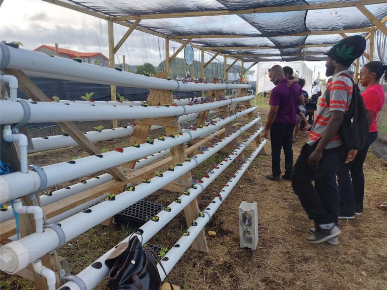 Duggins Applaud Leading Role Of Farmers and Fishers In Food Security  