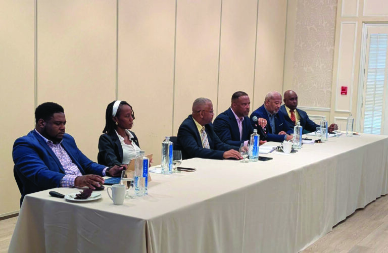 NIA Invites General Public to a Town Hall Meeting on Proposed “Destiny” Special Sustainability Zone Project