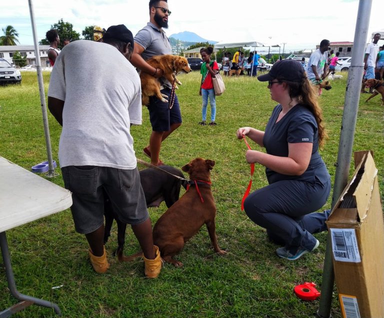 Animal Doctor Applauds Pet Owners In St. Kitts