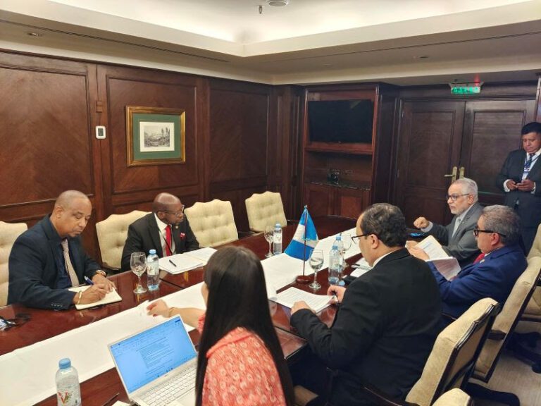 St. Kitts and Nevis and Guatemala Participate in Bilateral Meeting