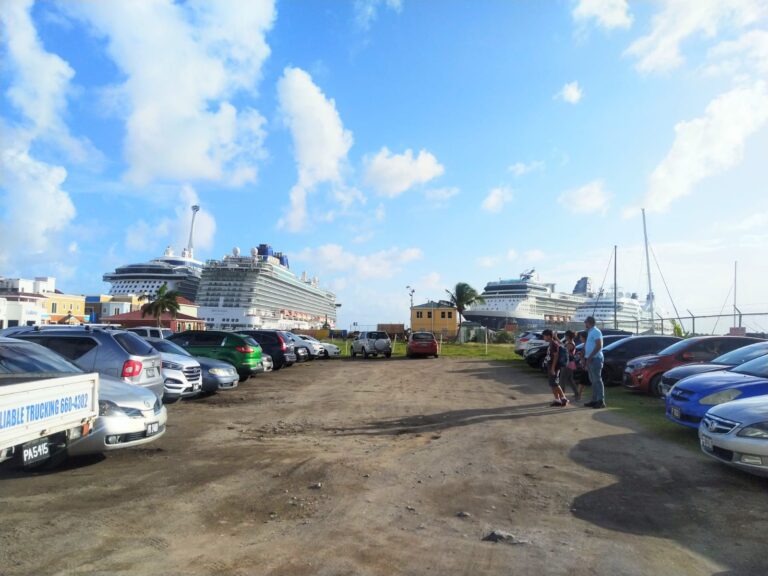 Celebrity Equinox Docking To Grade Success Of Cruise Industry Rebuilding In SKN