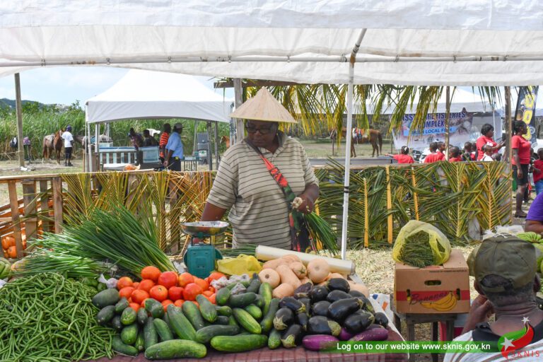 Innovative Farming Practices to Take Centre Stage at the 29th Annual Agriculture Open Day as the Ministry Advances Sustainable Agriculture