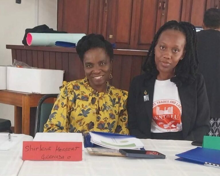 Union General Secretary: Domestic Workers Are Workers Too