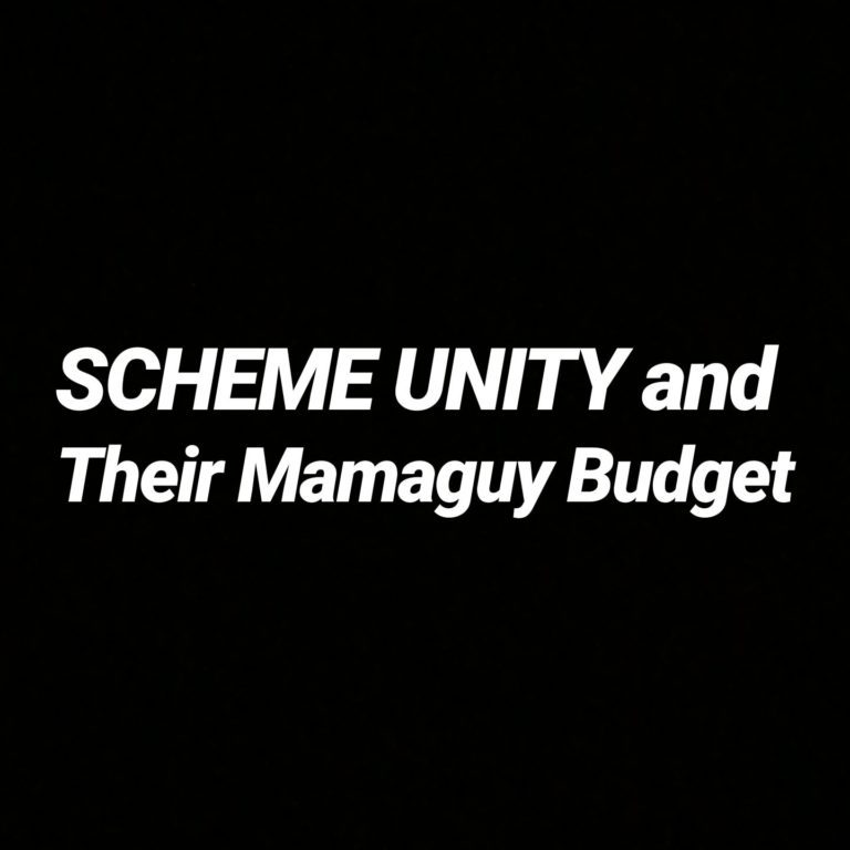 SCHEME UNITY And Their Mamaguy Budget