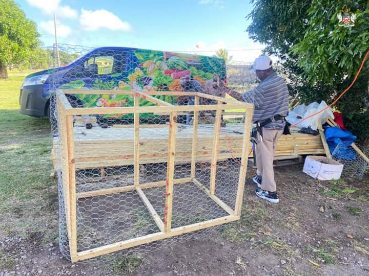 Department of Agriculture to Deploy 500 Monkey Traps Throughout St. Kitts