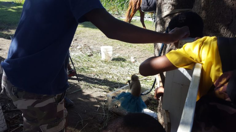 Agriculture Sector Faces Increased Monkey Problem