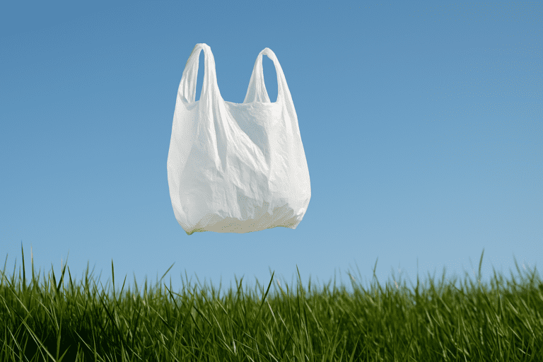 A Cleaner Future: Embracing the Ban on Single-Use Plastic Bags
